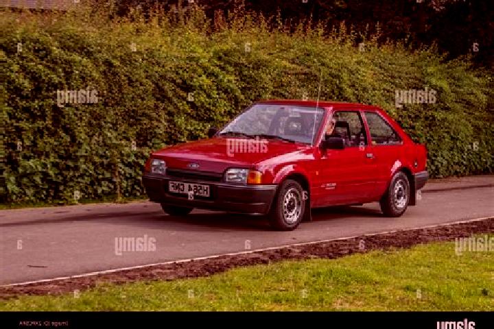 escort Oranjewoud