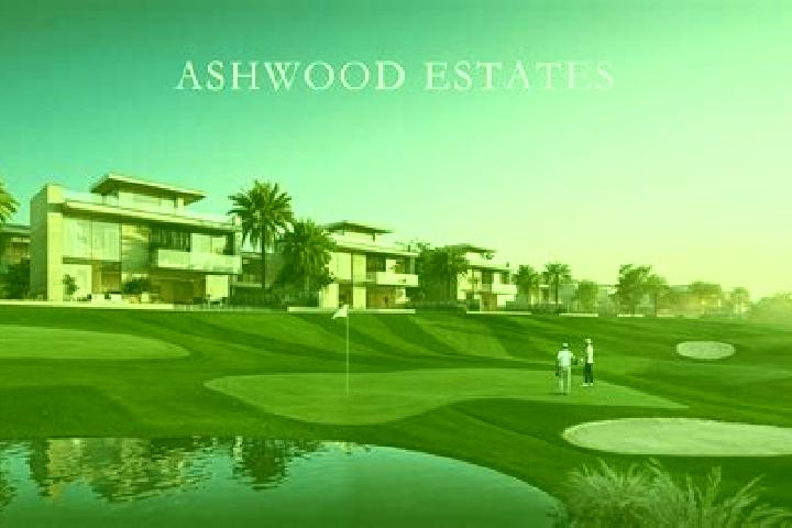 escort Orchidlands Estates