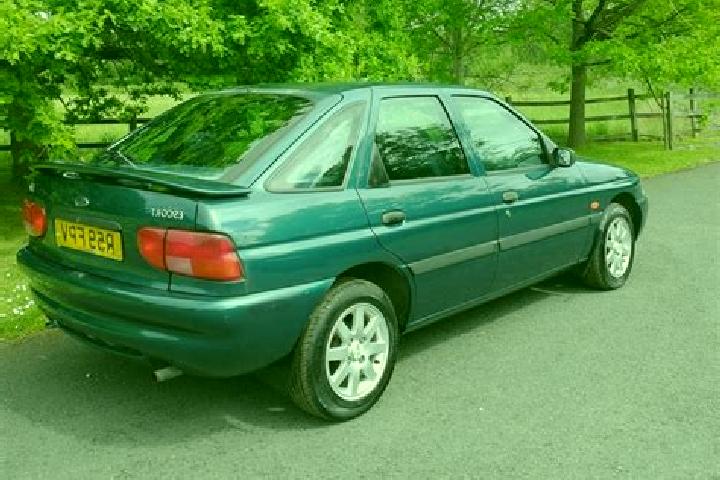 escort Oreini