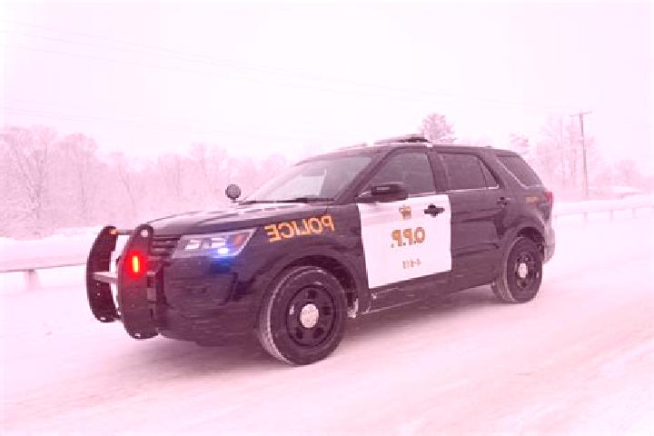 escort Orillia