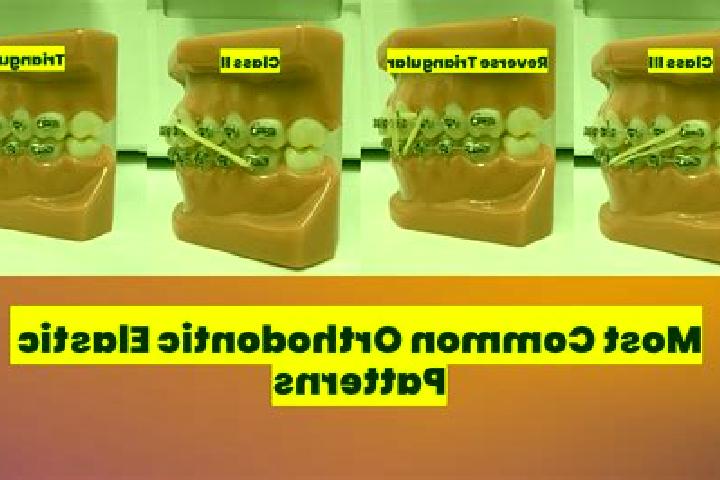 escort Ortho
