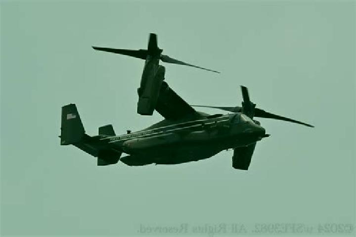 escort Osprey