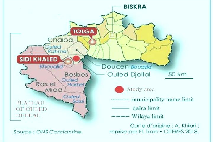 escort Ouled Djellal
