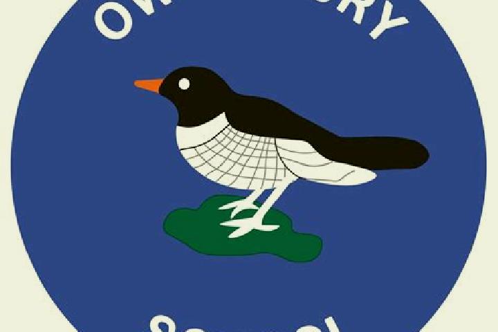 escort Owslebury
