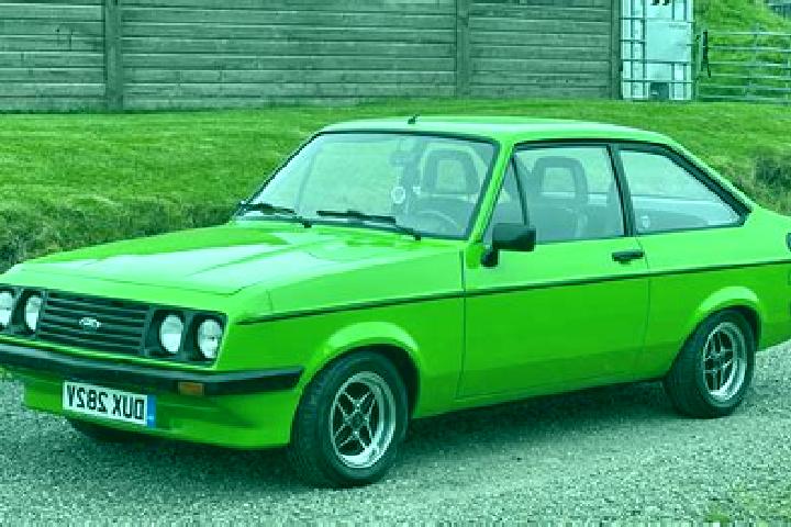 escort Oyyl