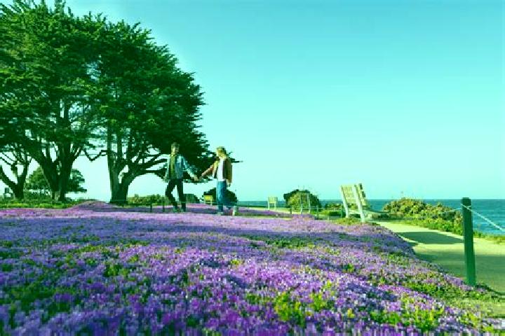 escort Pacific Grove