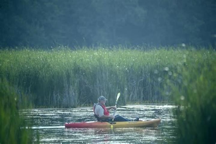 escort Paddle Prairie