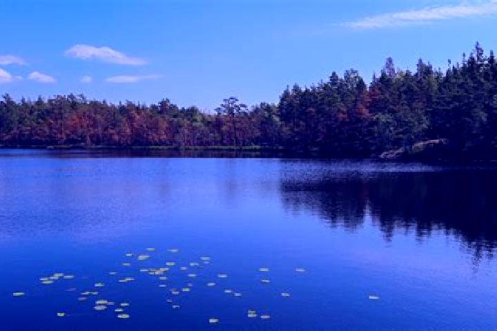 escort Paddock Lake