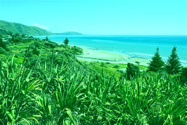 escort Paekakariki
