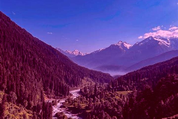 escort Pahalgam