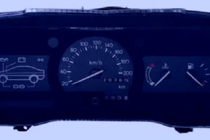 escort Painel