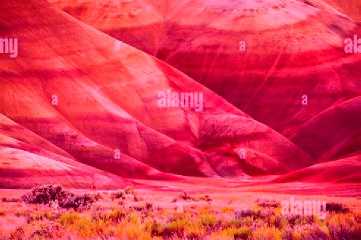 escort Painted Hills