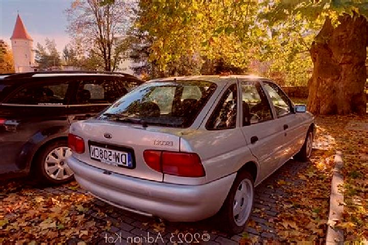 escort Paiuseni