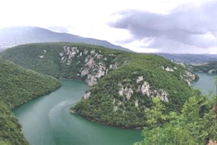 escort Pajic Polje