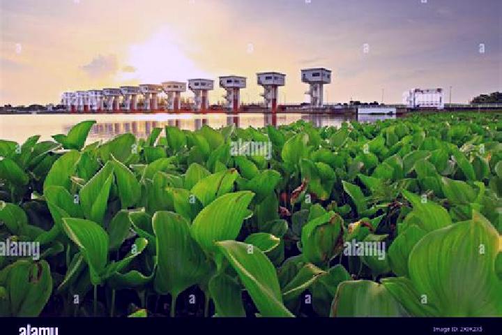 escort Pak Phanang