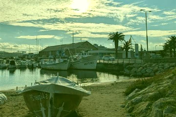 escort Palamos