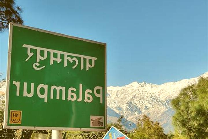 escort Palampur