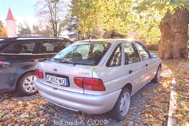 escort Palezieux