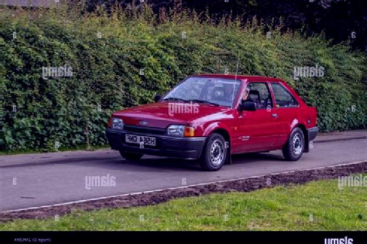 escort Palling