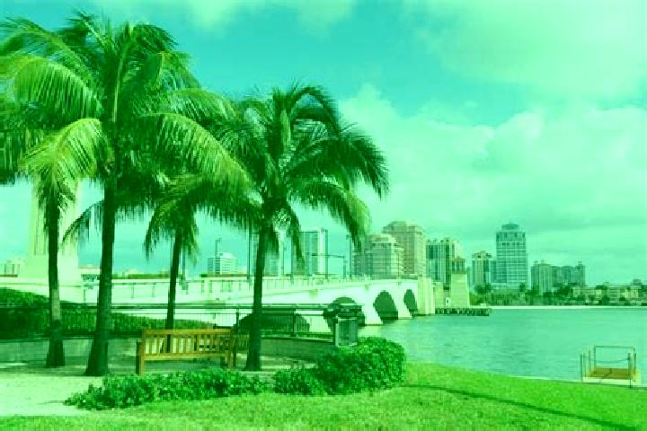 escort Palm City