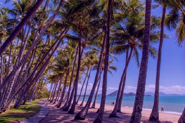 escort Palm Cove