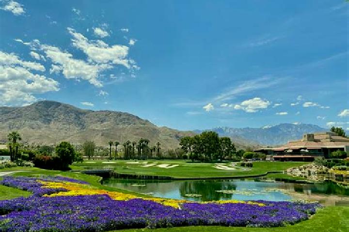 escort Palm Springs