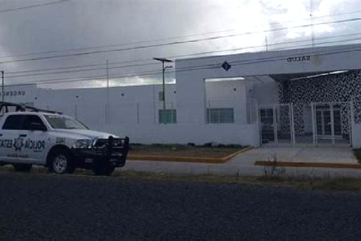 escort Palmar de Bravo