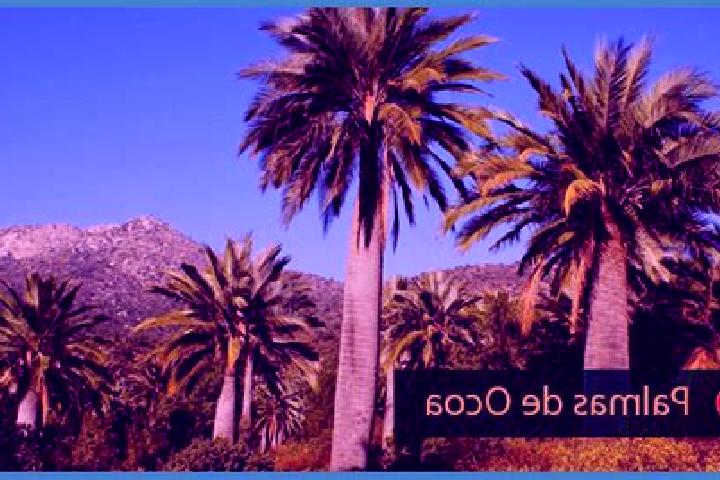 escort Palmar de Ocoa