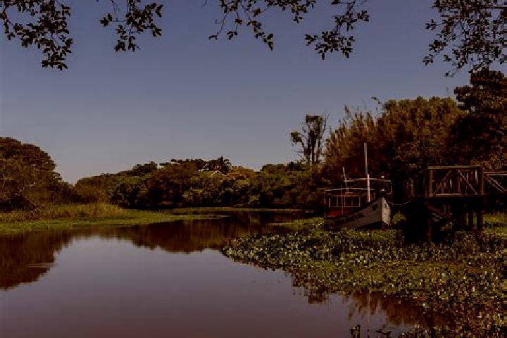 escort Palmares do Sul