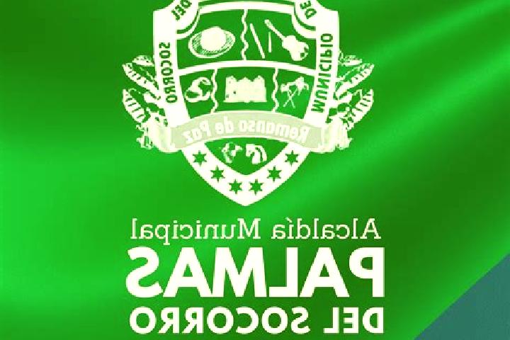 escort Palmas del Socorro