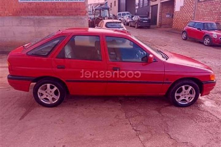 escort Palo Pintado