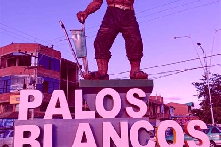 escort Palos Blancos