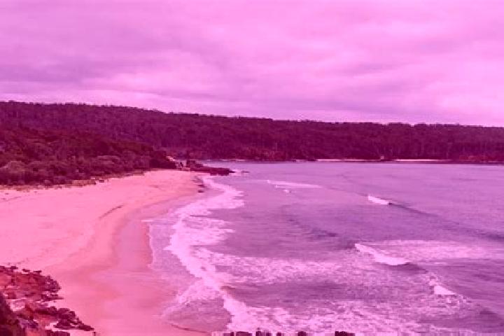 escort Pambula