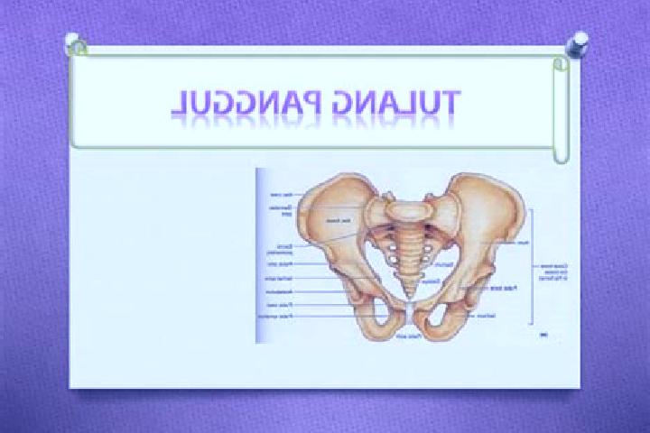 escort Panggul