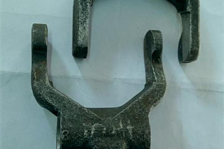 escort Pannill Fork