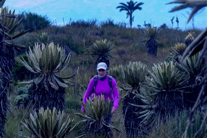 escort Paramo de Morelos