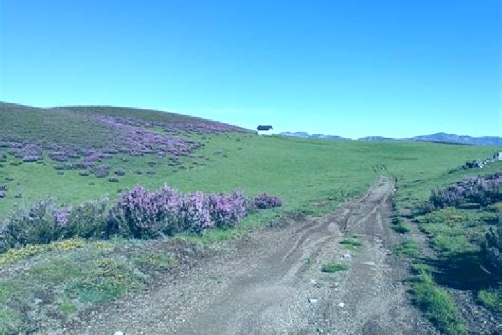 escort Paramo del Sil