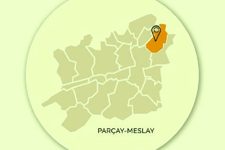 escort Parcay-Meslay