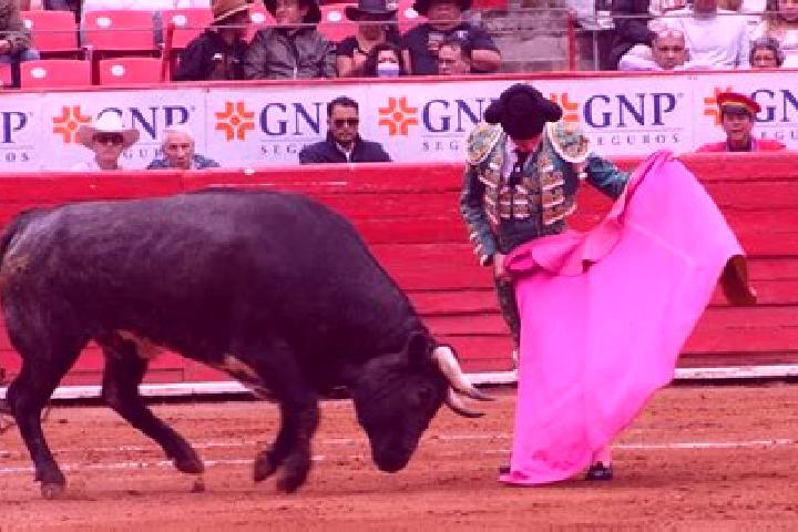 escort Paso de los Toros