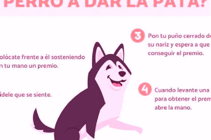 escort Paso del Perro