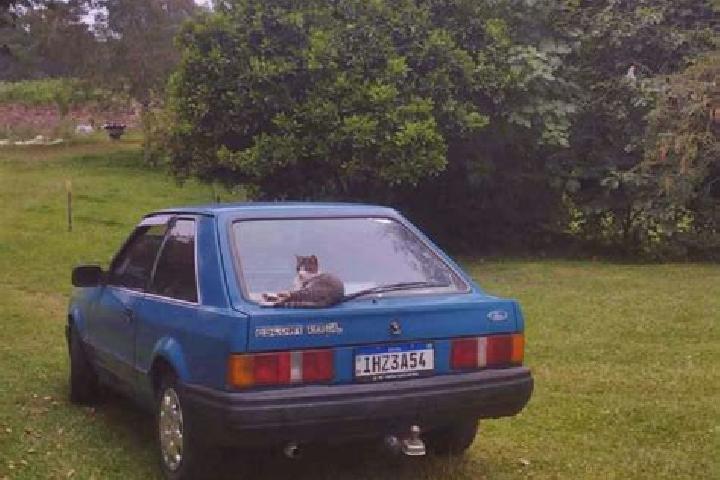 escort Passo do Sobrado