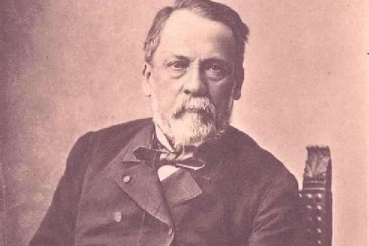 escort Pasteur