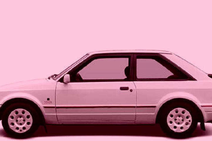 escort Pavussu