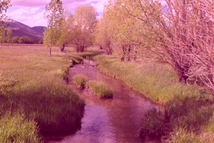 escort Peaceful Valley