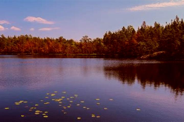 escort Peach Lake