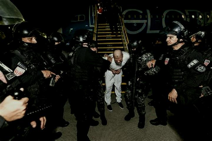 escort Pedro Martinez