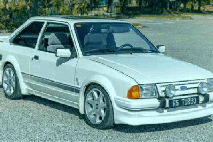 escort Pegognaga