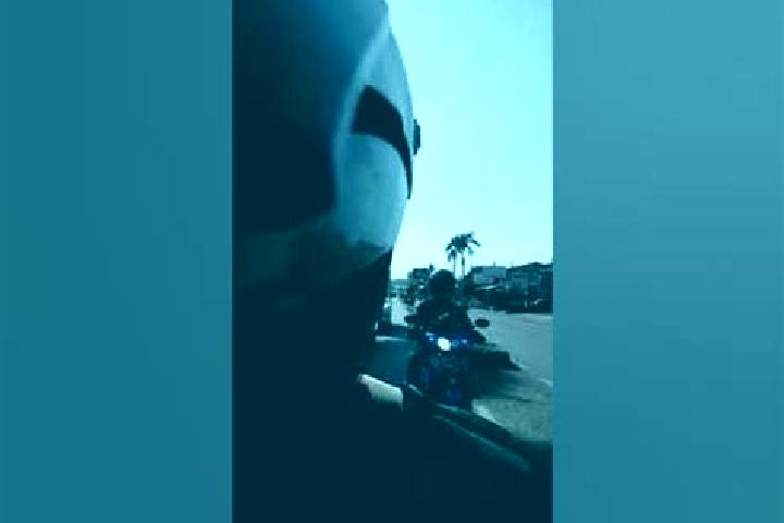 escort Pekalongan