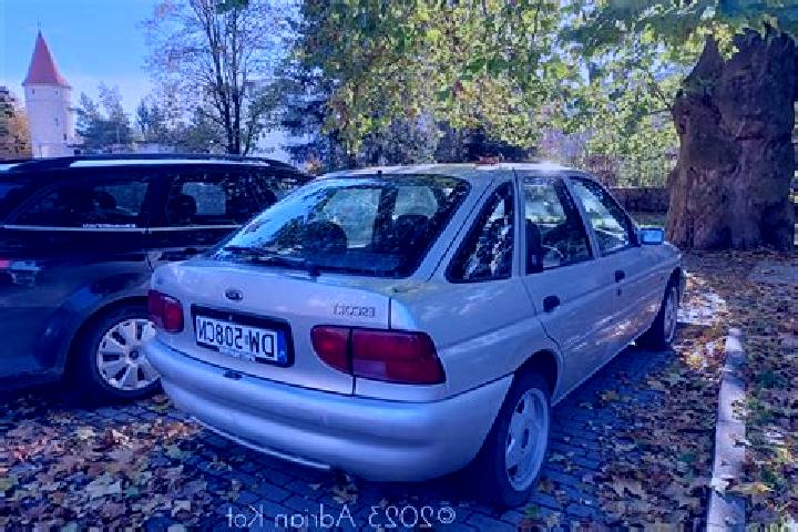 escort Pelym