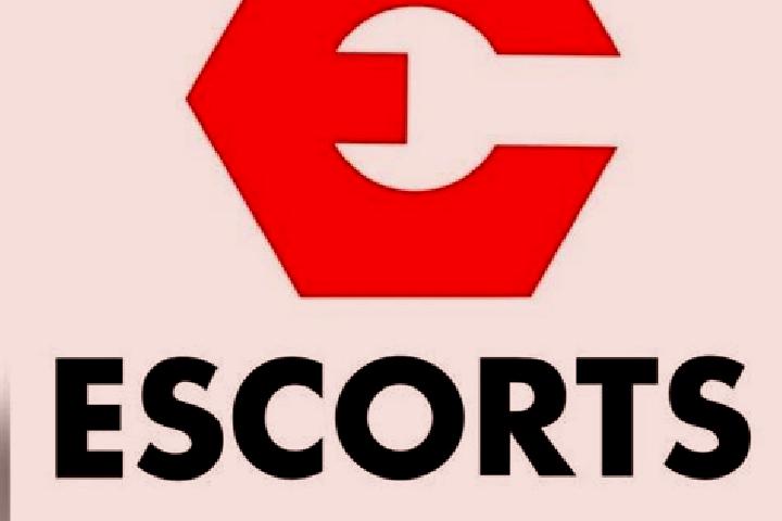escort Perambalur